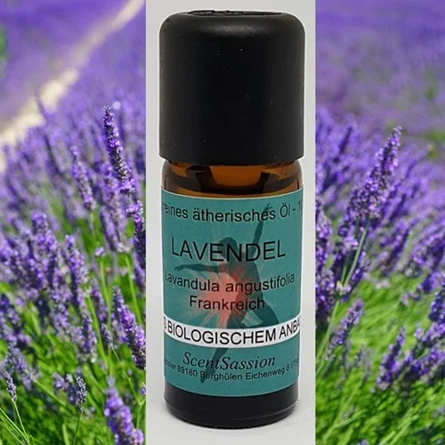 Ätherisches Öl ‚Lavendel (Lavendula angustifolia)‘ Bio