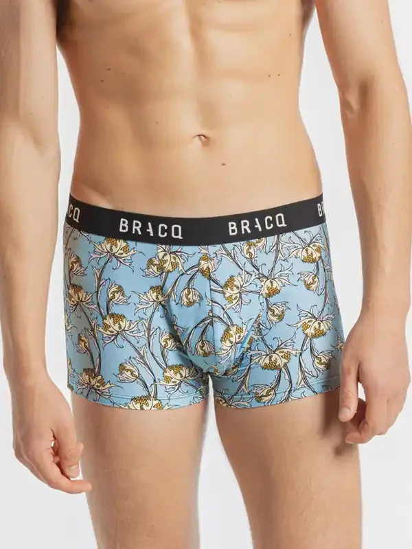 Bracq Eden Pant, hellblau print