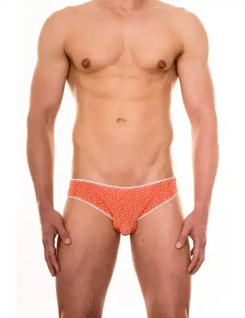 Brief Ryan rot