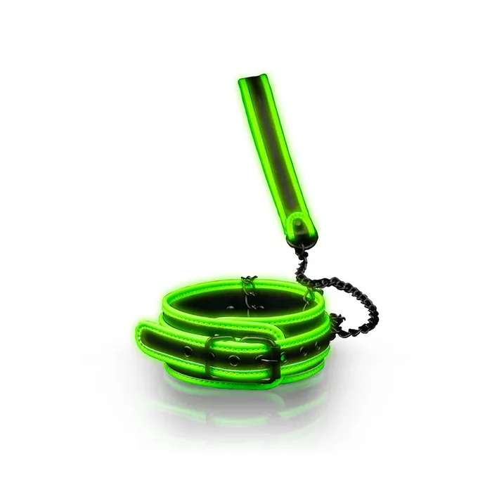 Collar and Leash – Glow in the Dark