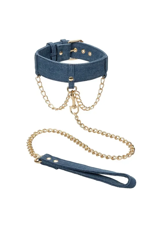 Denim Halsband und Leine