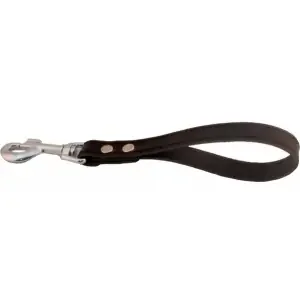 Dog Handle with Carabiner