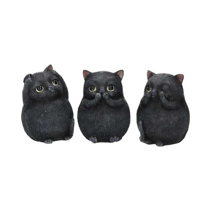 Drei weise pummelige Katzen