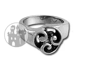 Edelstahlring ‘Infinity‘