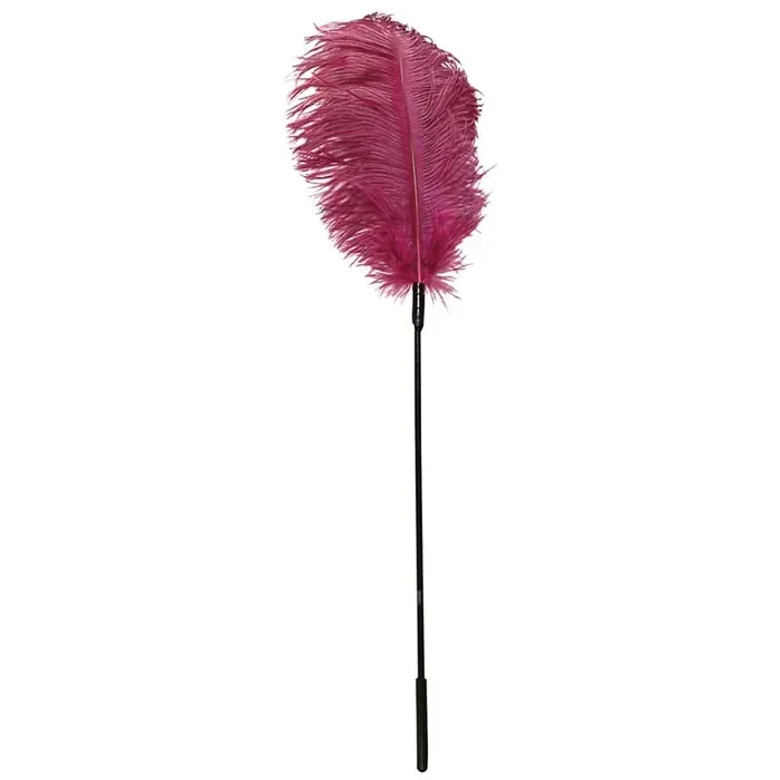 Feder pink
