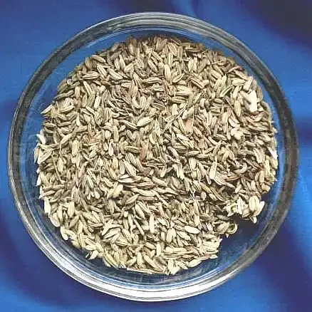Fenchel