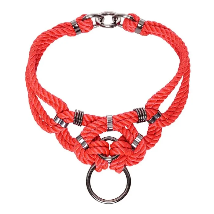 FIGURE OF A Megami Choker Rouge