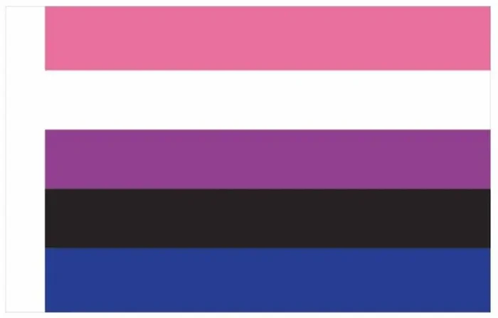 Genderfluid-Flagge 60 x 90cm