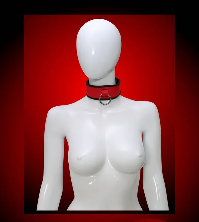Gepolstertes Halsband mit Beutel