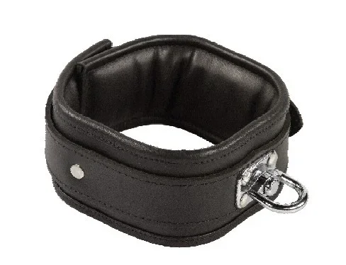 gepolstertes Halsband mit Wirbel