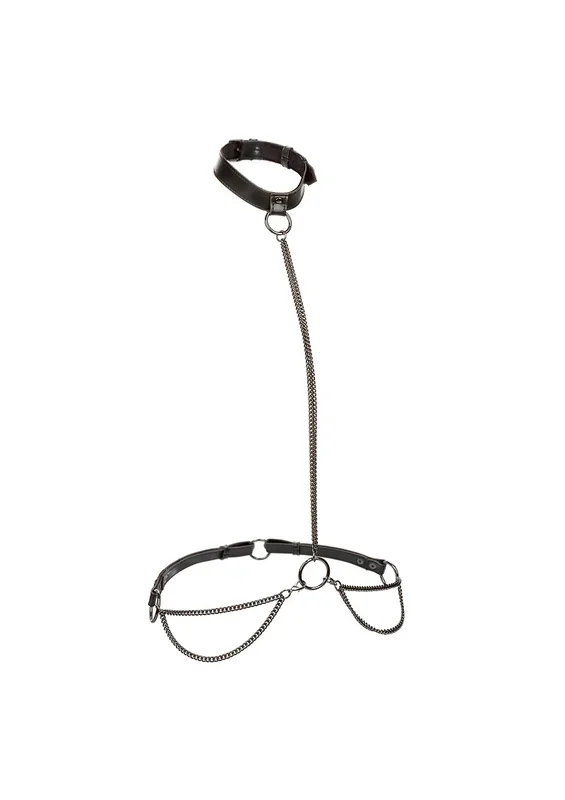Halsband-Kettenharness