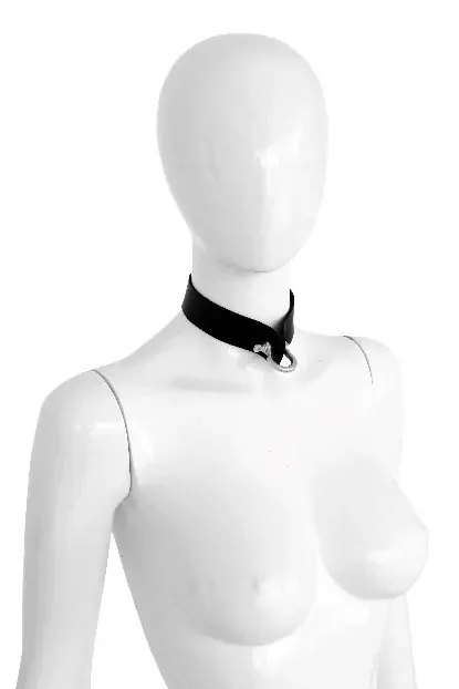 Halsband mit Metallschäkel