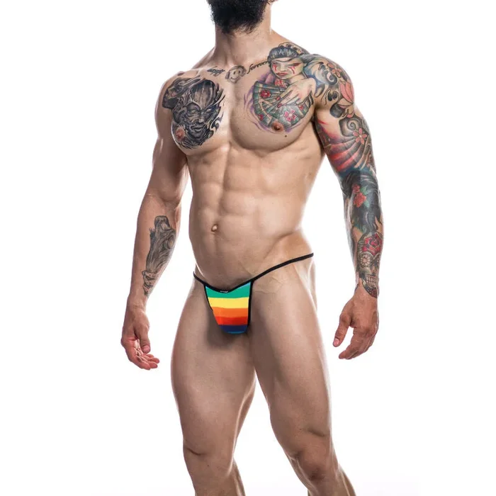 Herren Briefkini “Rainbow”