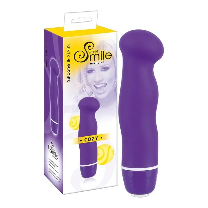 Kleiner Vibrator in Violett