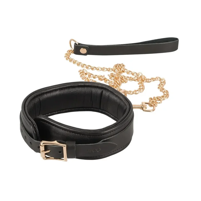 Leather collar and leash with gold details