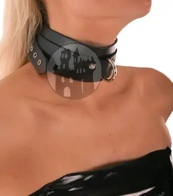 Leder Halsband mit D-Ring