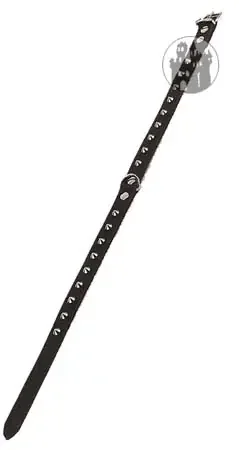 Leder Halsband mit Spitznieten
