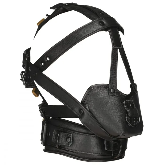 Leder Kopfharness mit Maulkorb