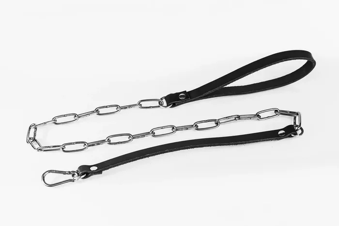 Leine aus Leder und Metall