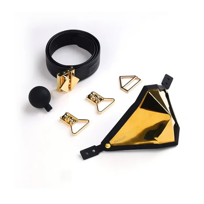 LOCKINK – Goldenes Punker Maulkorb-Knebel-Set