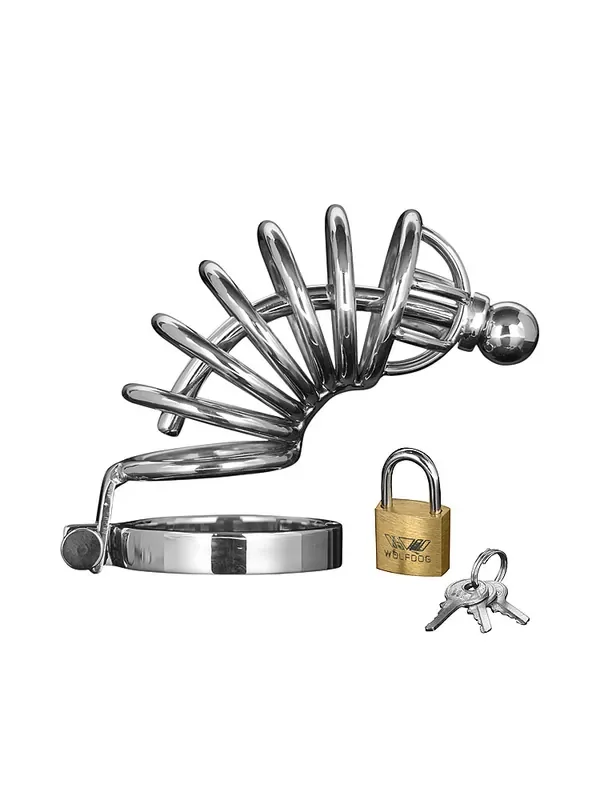 Master Series Asylum 6 Ring Chasity Cage Edelstahl-Peniskäfig