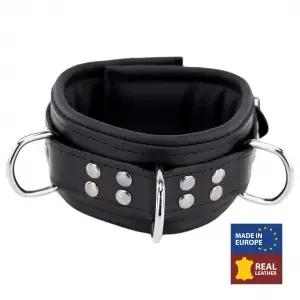 Padded Leather Collar with Black D-Rings