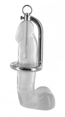 Penis Ring und Harnröhren Plug