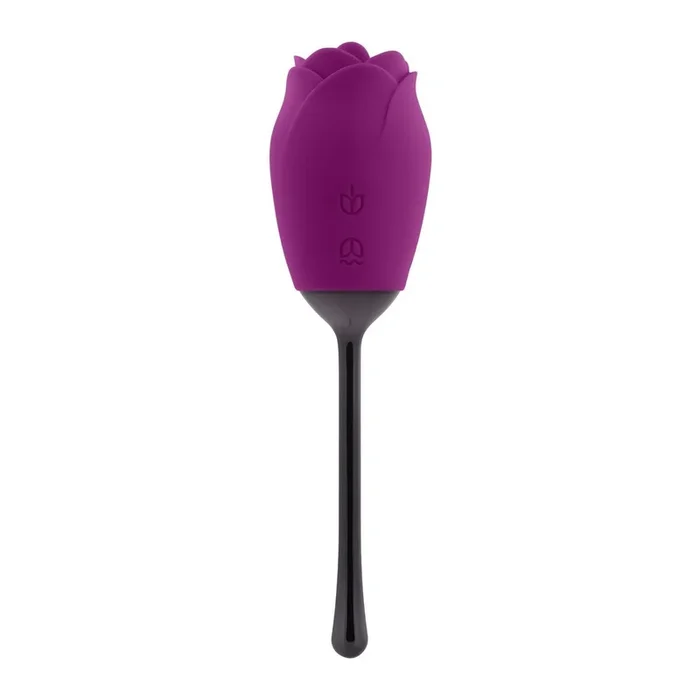Playboy – Petal Vibrator – Lila/Schwarz