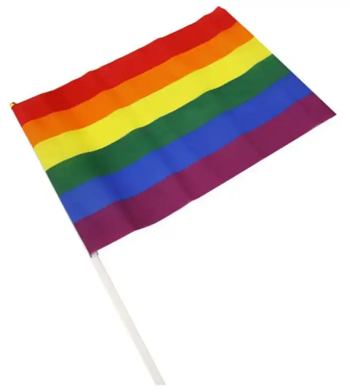Rainbow-Flagge mit Stiel 30 x 43cm