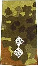 Rangschlaufen (Heer) Bw flecktarn ‚Oberleutnant‘