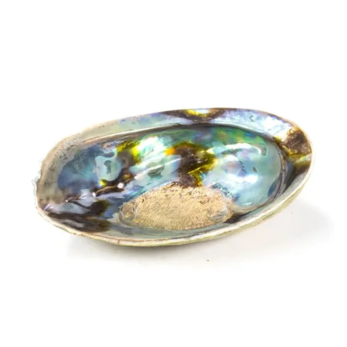 Räuchergefäß – Regenbogen Abalone – Paua Muschelhälfte