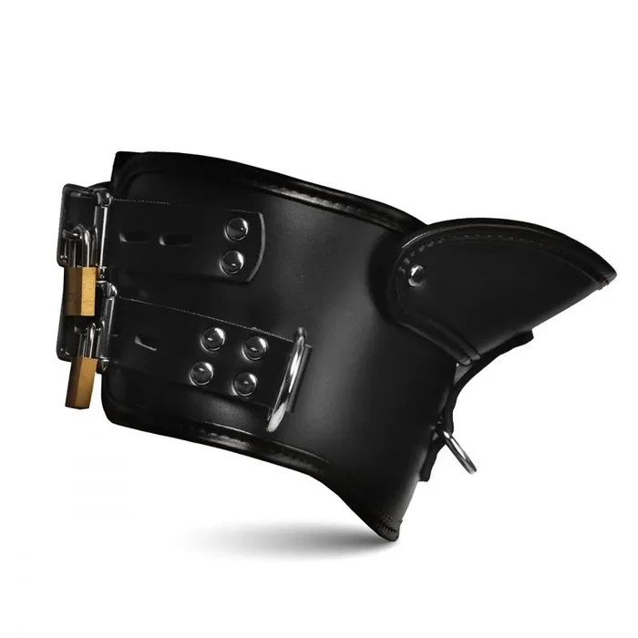 Rigid – Gepolstertes Kragenhalsband mit Kinnbügel