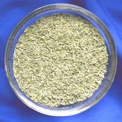 Rosmarin (Rosmarinus officinalis)