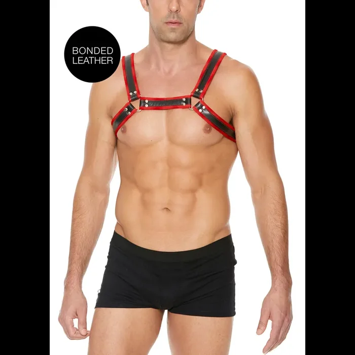 Rot-Schwarzes Bulldog Harness mit Schnallen – S/M