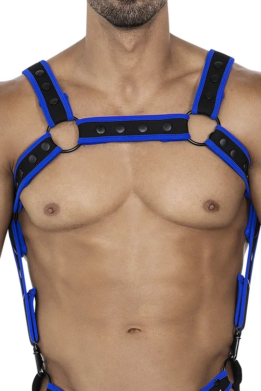 Schwarz/neonblauer Brust-Harness
