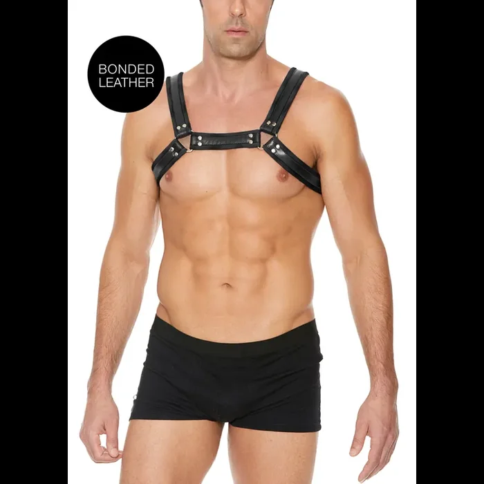 Schwarzes Bulldog Harness mit Schnallen – L/XL