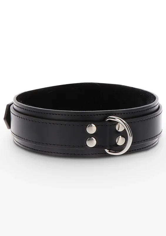 Schweres Taboom Halsband mit D-Ring
