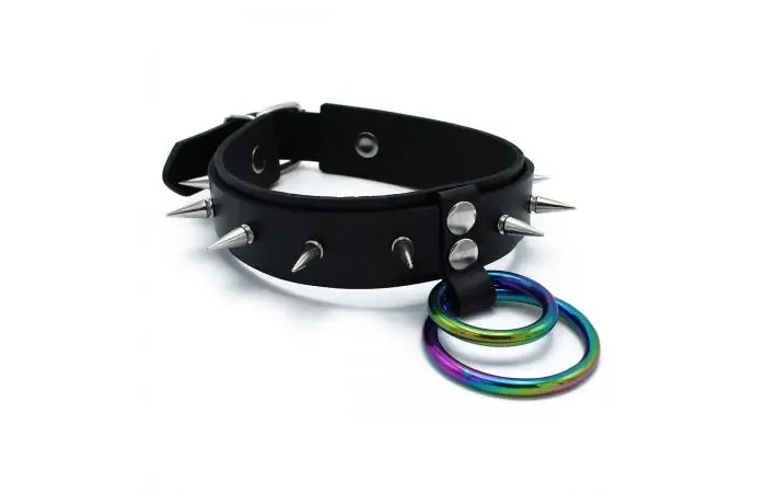 Stachelhalsband aus Leder