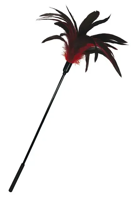 Staubwedel Rot und Schwarz 57 cm