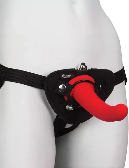 Strap – on Harness