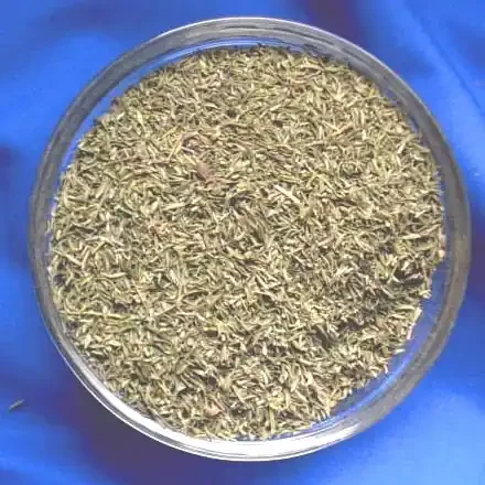Thymian