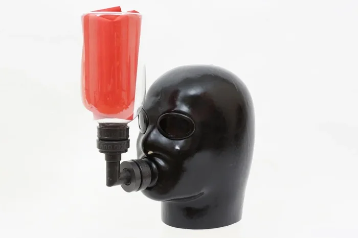 Toilettenmaske