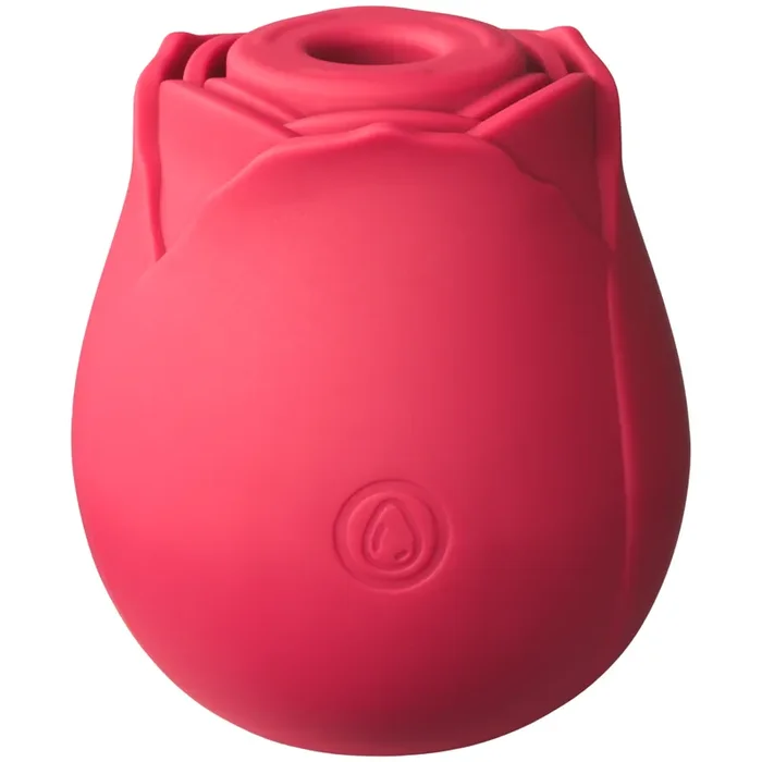 Tracy‘s Dog Rosie Druckwellenvibrator