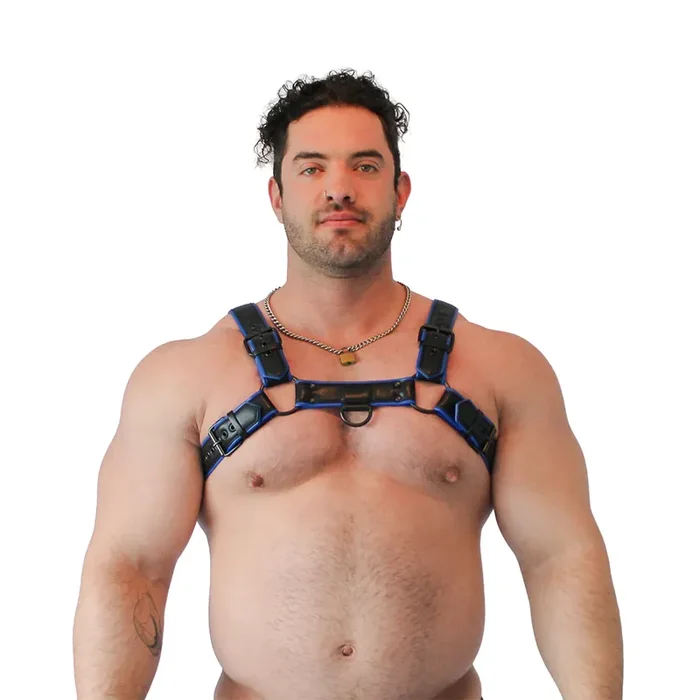 Veganer Bulldog Harness – Schwarz/Blau, Größe S/M
