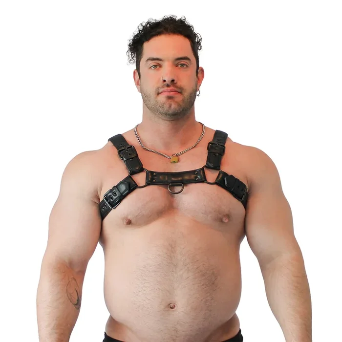 Veganer Bulldog Harness – Schwarz, Größe L/XL