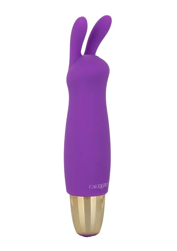 Vibrator ‚Surr Mich An‘