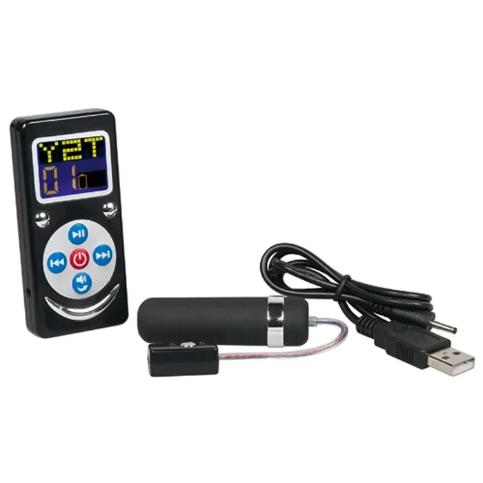 Voice Remote Mini Bullet