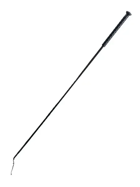 Xx-DreamsToys Gerte, schwarz