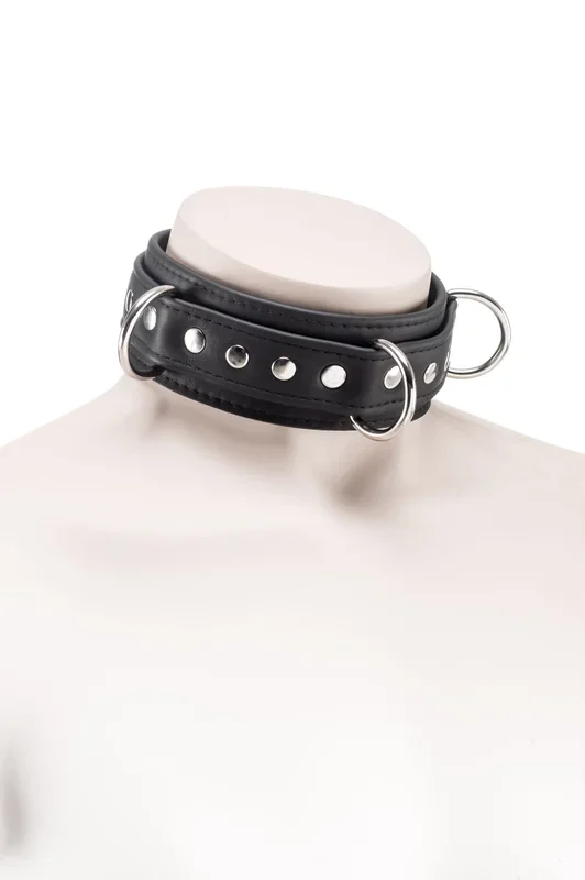 Zenn Lederhalsband – 450 x 50 mm