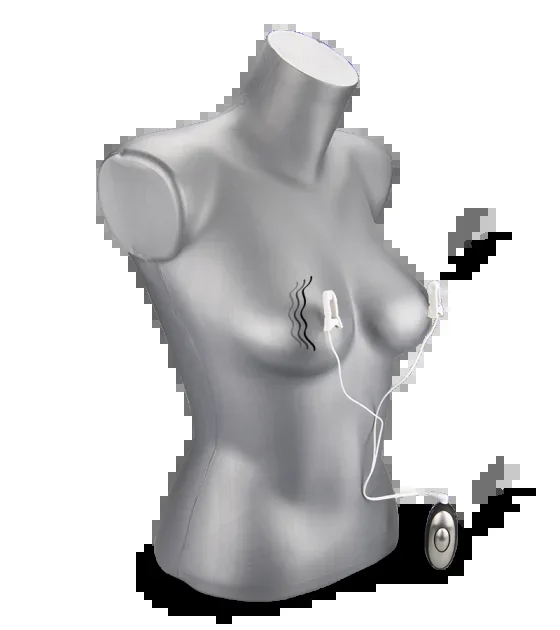 Zwei Klemmen für Elektrosex